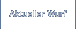 Aktueller Wurf