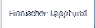 Finnischer Lapphund